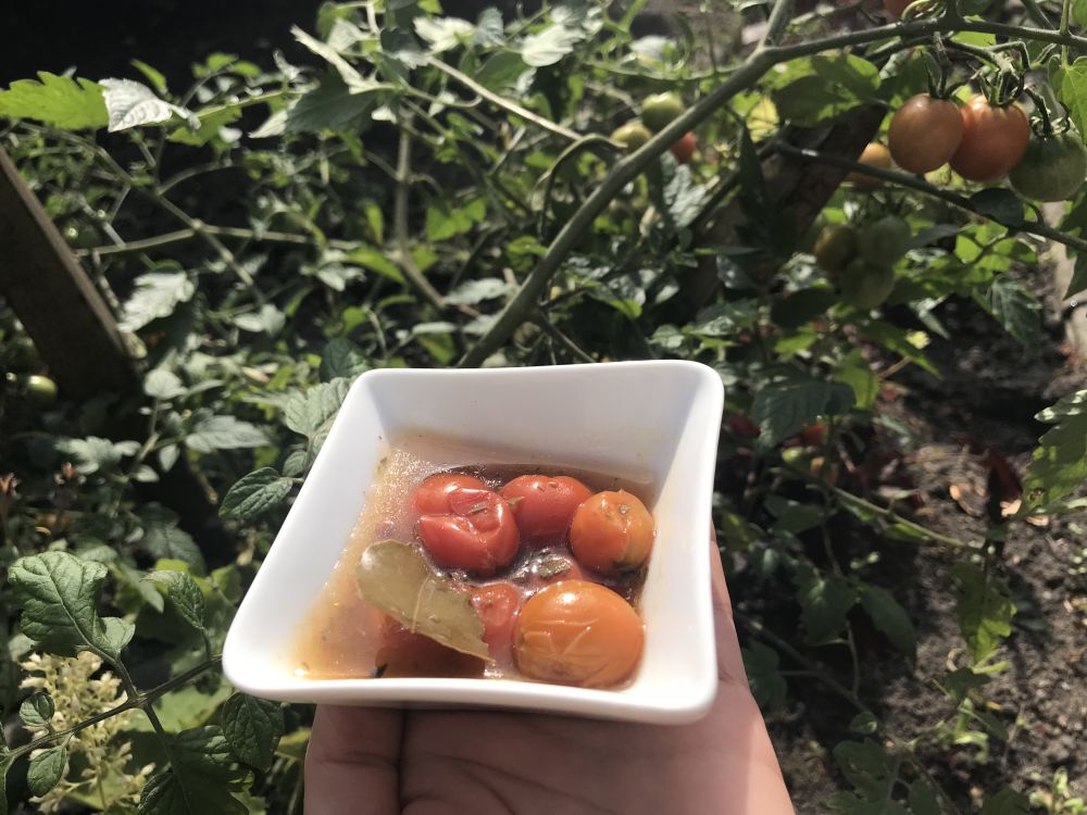 Pomidory koktajlowe w ziołowej zalewie