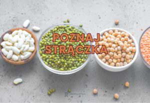 poznaj strączka